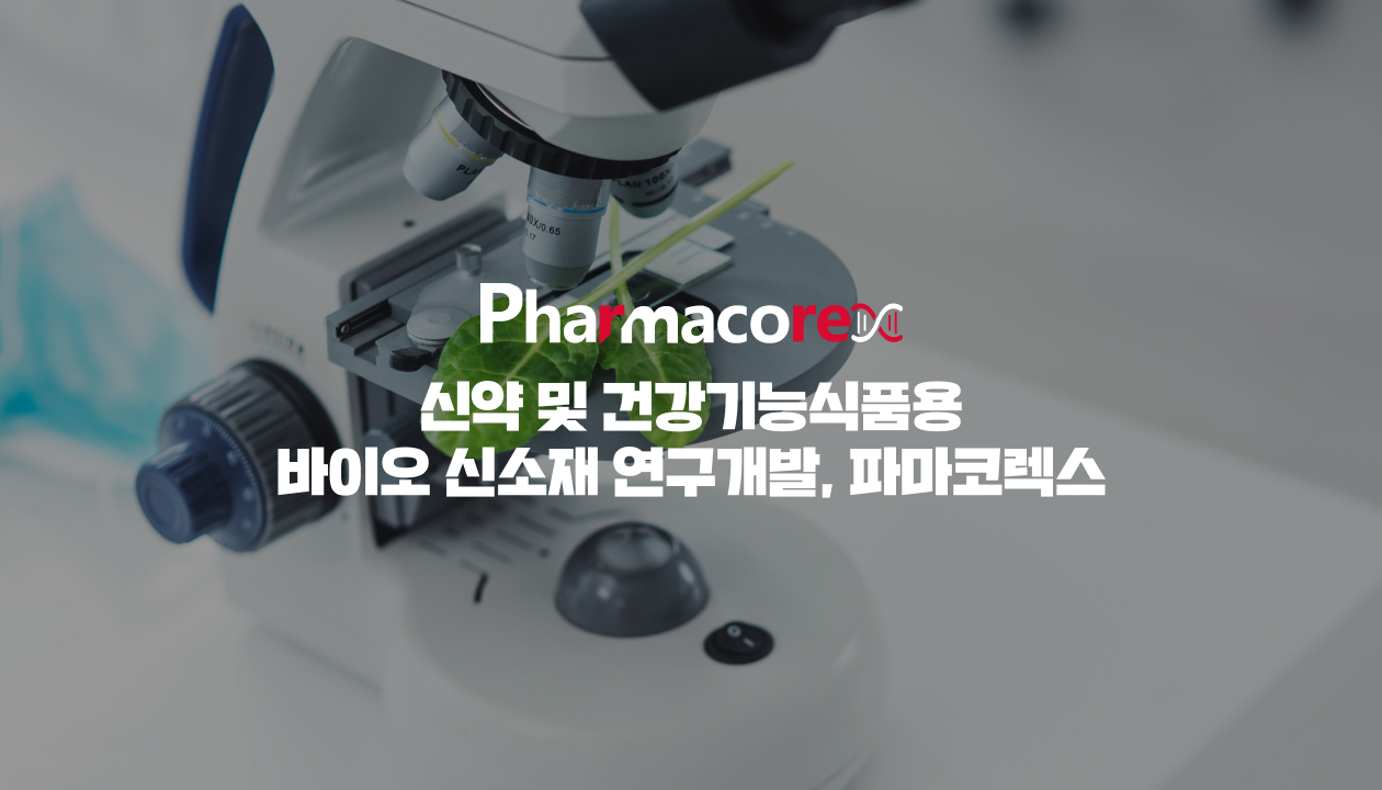 대전창업온라인
